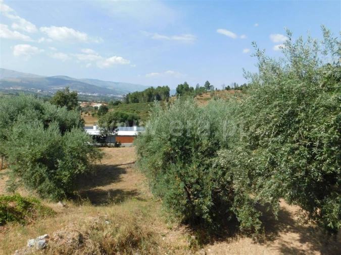 Terreno para Venda em Alcaria Foto 2