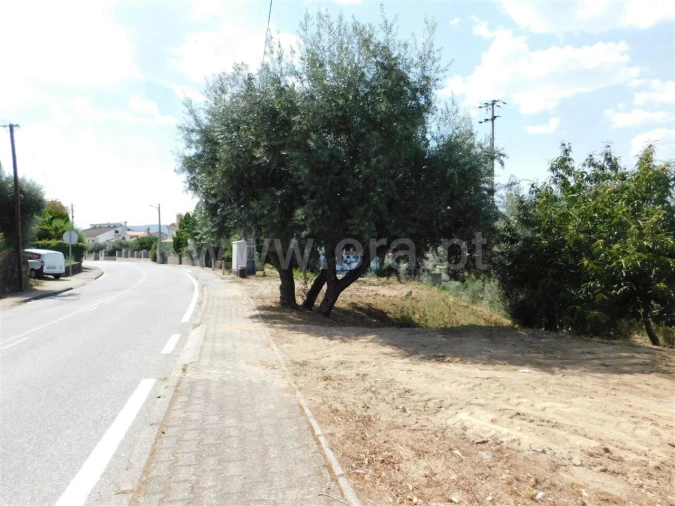Terreno para Venda em Alcaria Foto 3