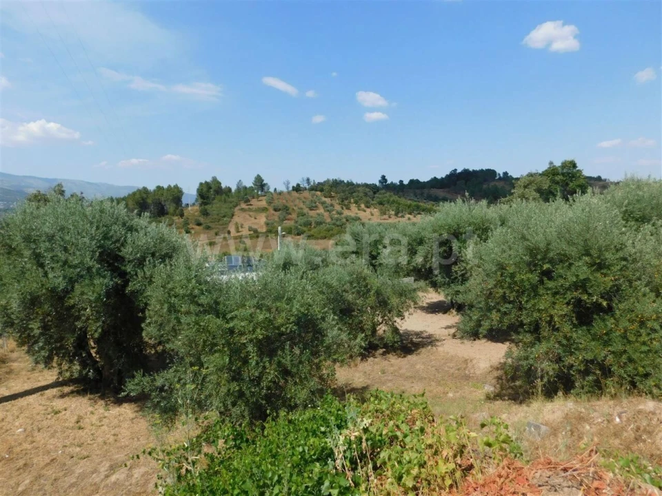 Terreno para Venda em Alcaria Foto 1