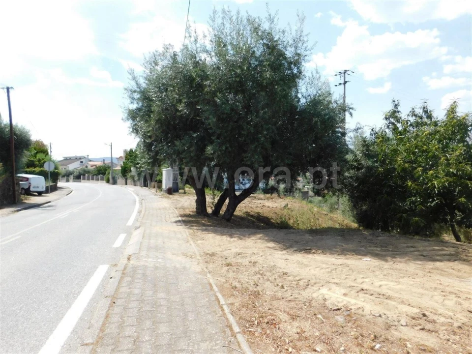 Terreno para Venda em Alcaria Foto 3