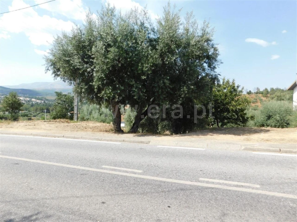 Terreno para Venda em Alcaria Foto 5