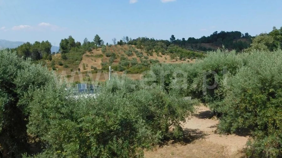 Terreno para Venda em Alcaria