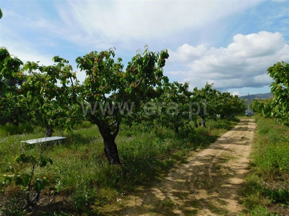 Quinta T0 para Venda em Alpedrinha Foto 5