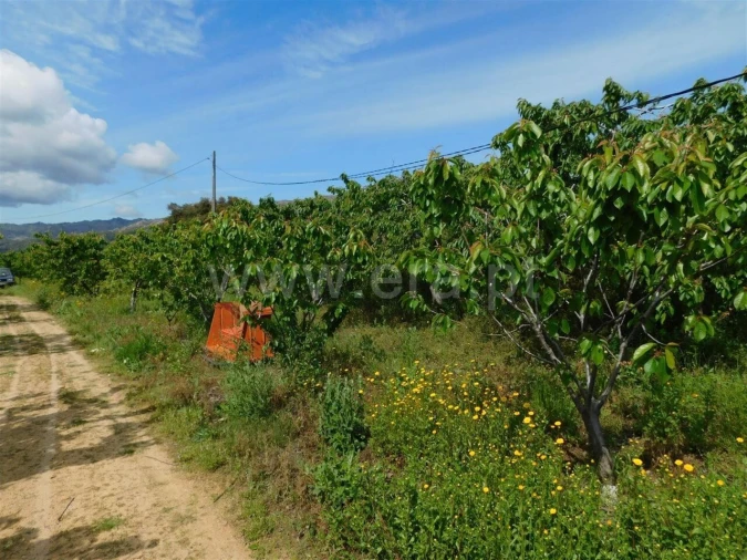 Quinta T0 para Venda em Alpedrinha Foto 8