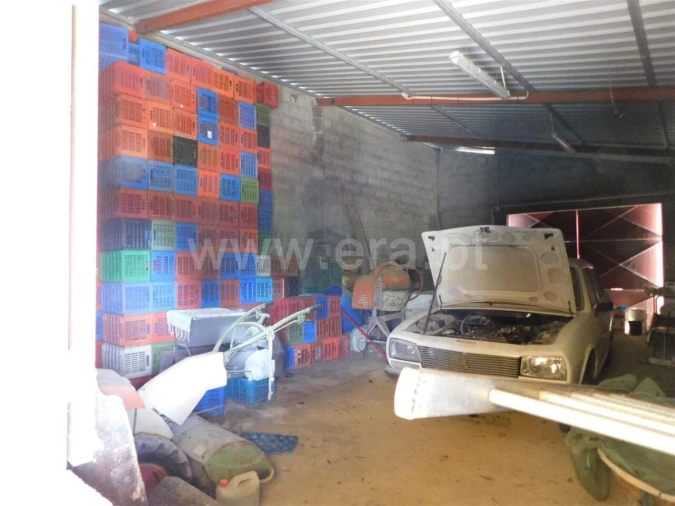 Quinta T0 para Venda em Alpedrinha Foto 4