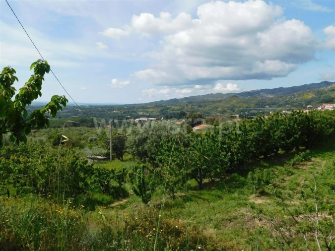 Quinta T0 para Venda em Alpedrinha Foto 12