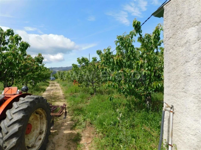 Quinta T0 para Venda em Alpedrinha Foto 13