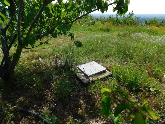 Quinta T0 para Venda em Alpedrinha Foto 7