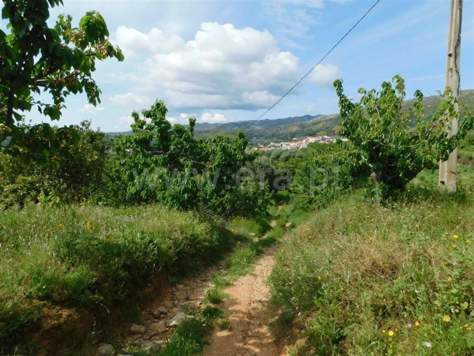 Quinta T0 para Venda em Alpedrinha Foto 9