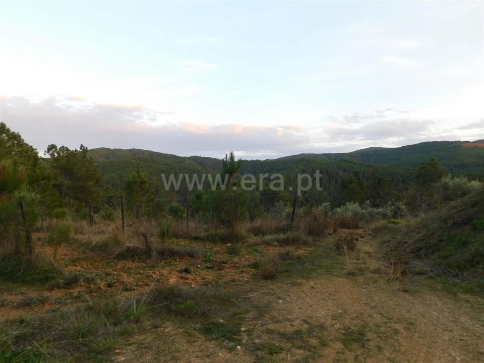 Terreno para Venda em Silvares Foto 7