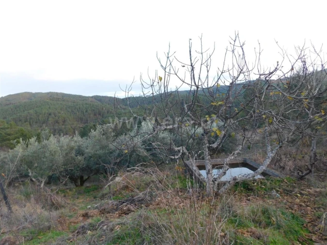 Terreno para Venda em Silvares Foto 5