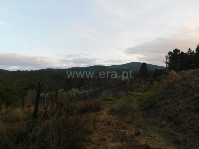 Terreno para Venda em Silvares Foto 6