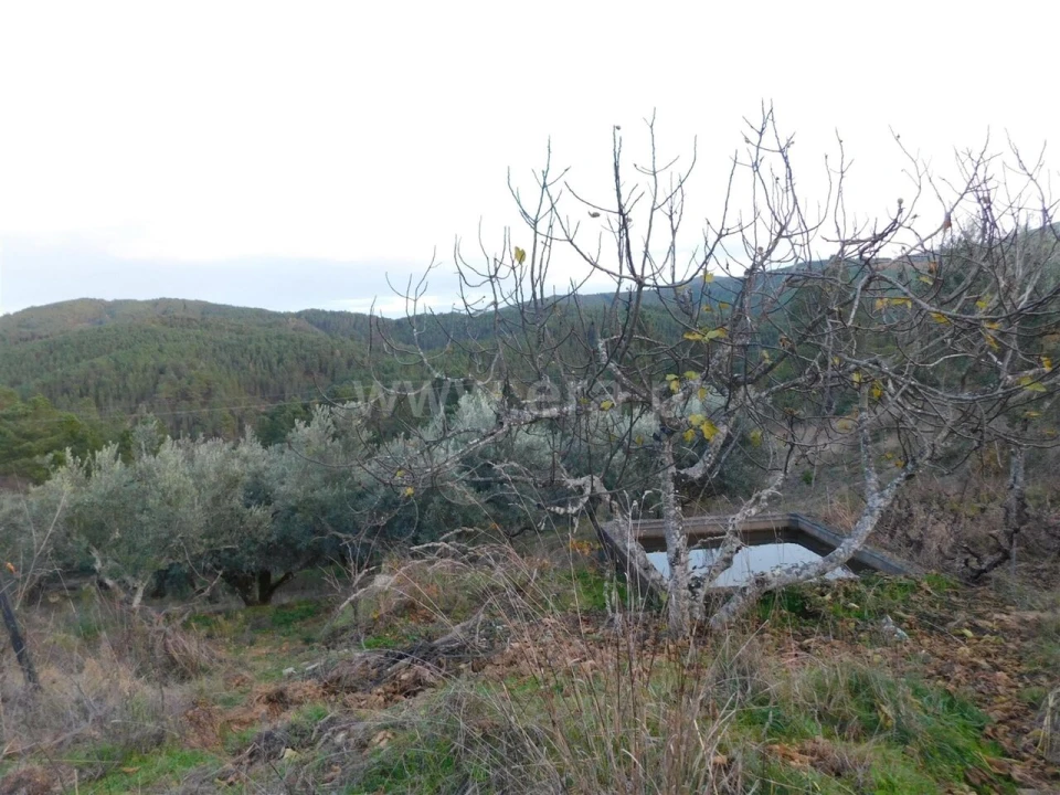 Terreno para Venda em Silvares Foto 5