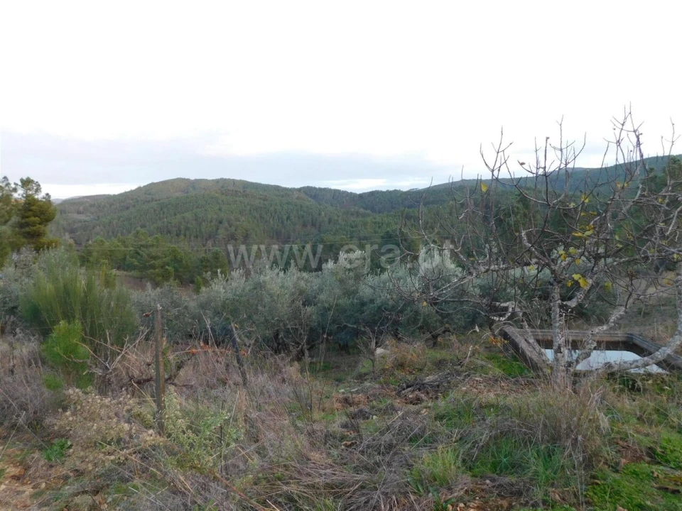 Terreno para Venda em Silvares Foto 4