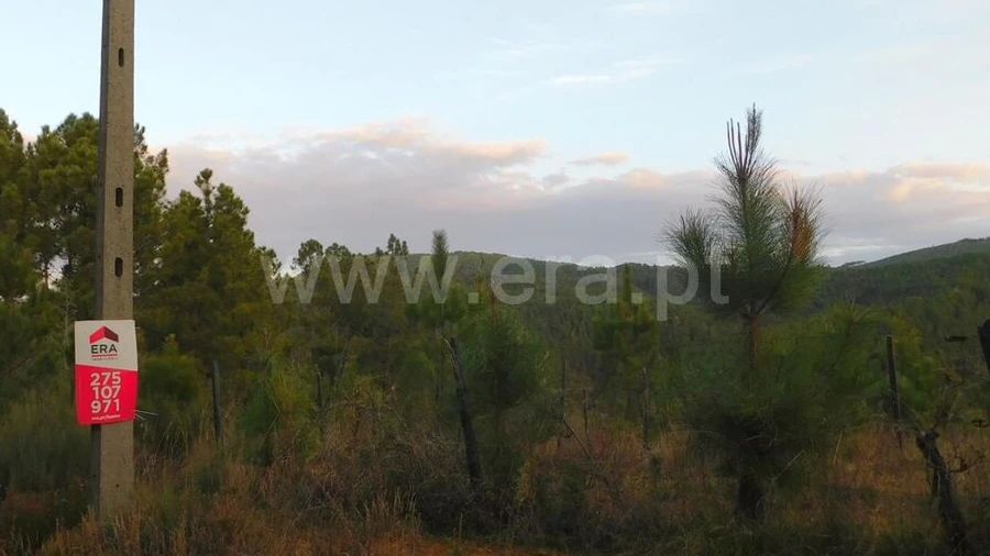 Terreno para Venda em Silvares