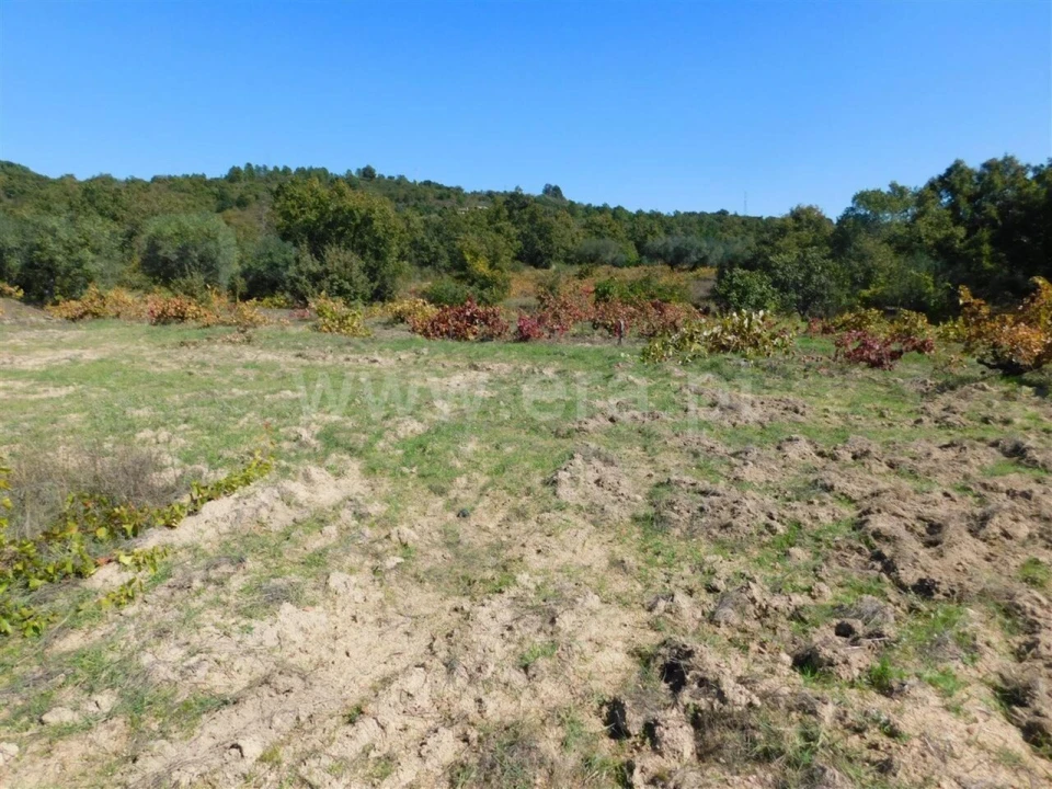 Terreno para Venda em Pero Viseu Foto 4