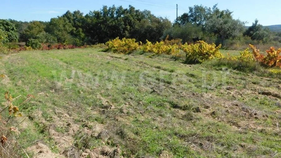 Terreno para Venda em Pero Viseu