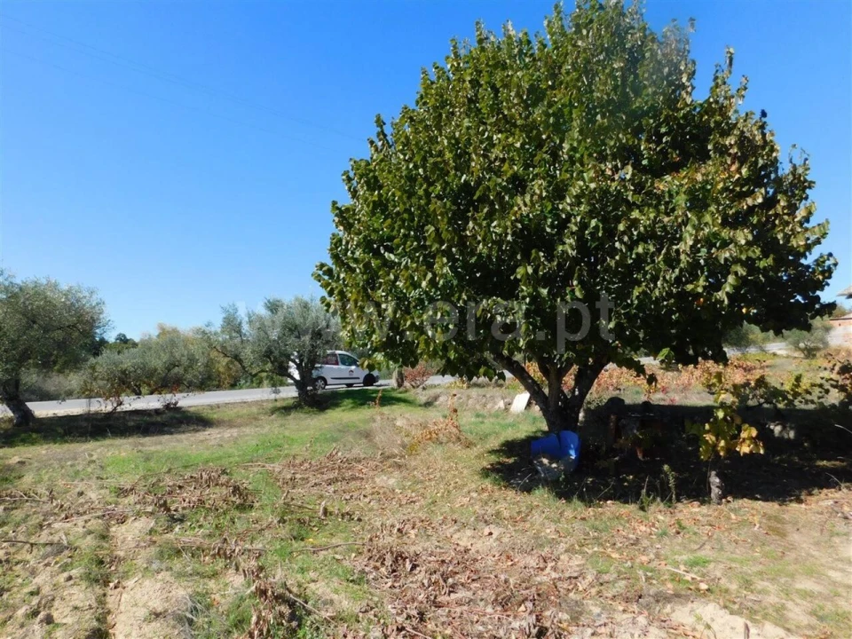 Terreno para Venda em Pero Viseu Foto 7