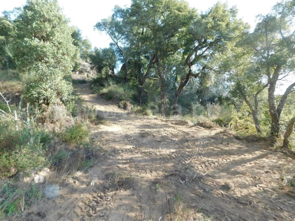 Terreno para Venda em Pero Viseu Foto 4