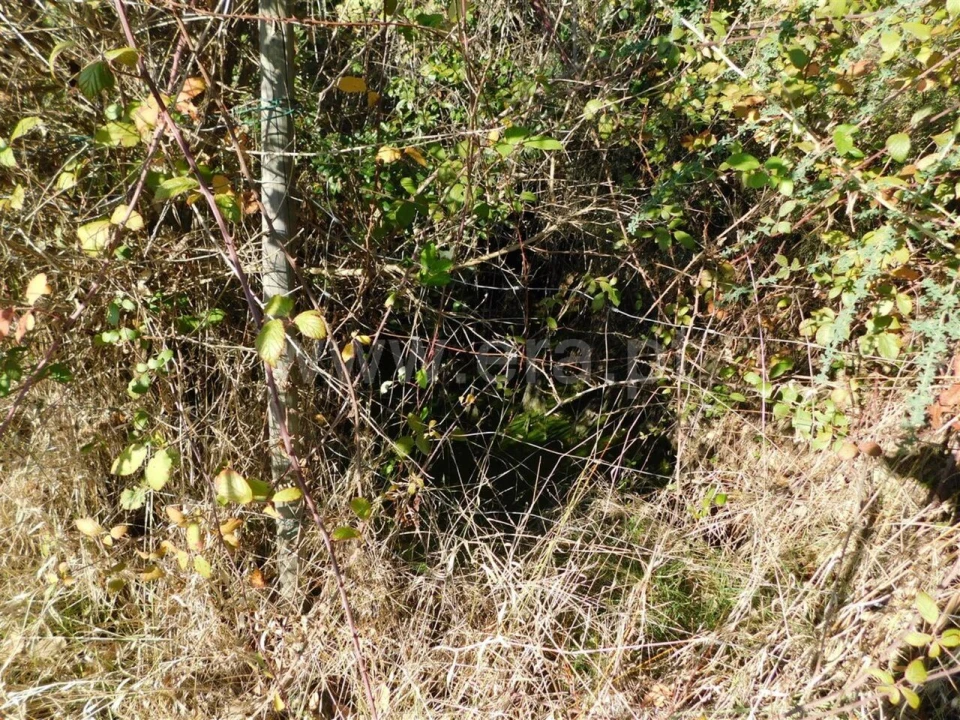 Terreno para Venda em Pero Viseu Foto 7