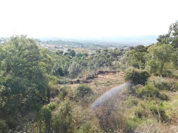 Terreno para Venda em Pero Viseu Foto 6
