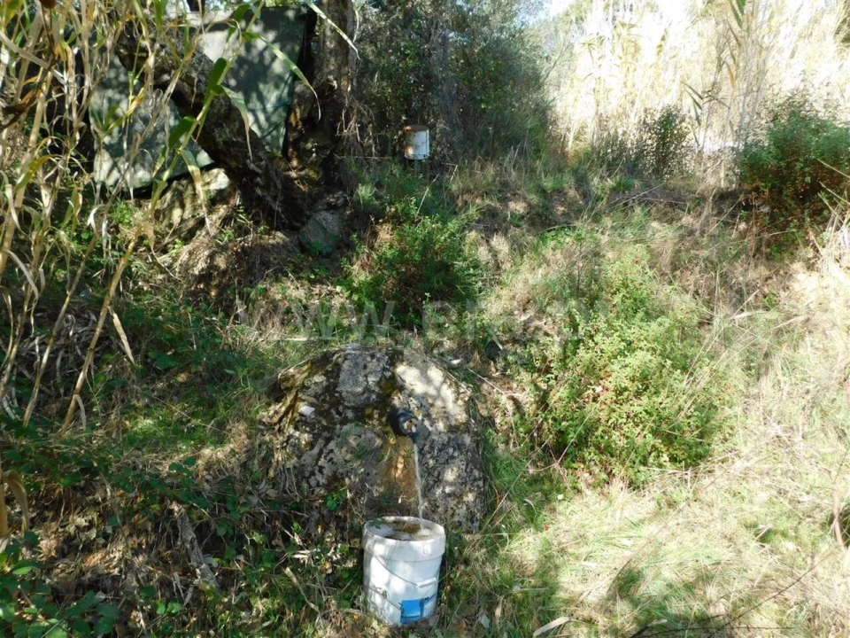 Terreno para Venda em Pero Viseu Foto 5