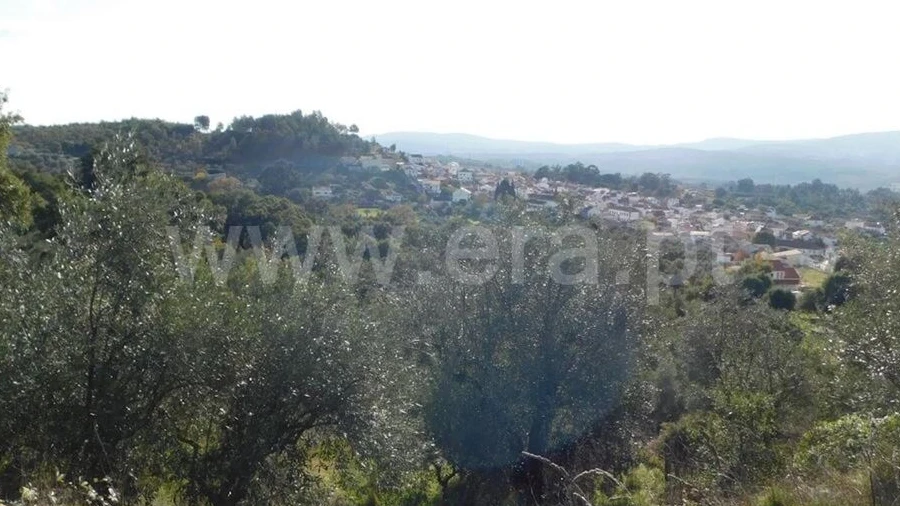 Terreno para Venda em Pero Viseu