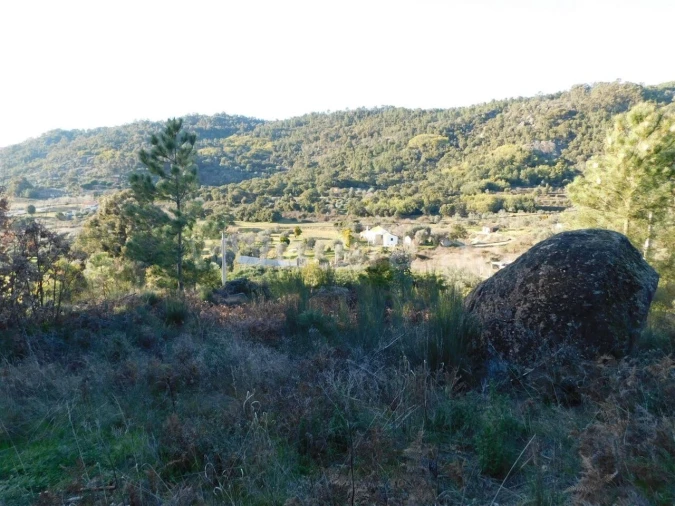 Terreno para Venda em Pero Viseu Foto 5