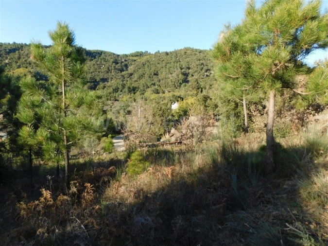 Terreno para Venda em Pero Viseu Foto 6