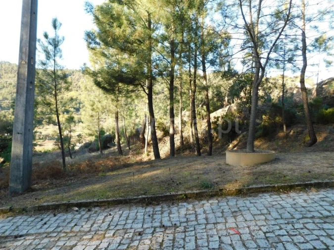 Terreno para Venda em Pero Viseu Foto 9