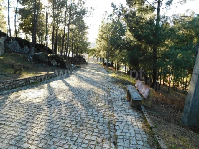 Terreno para Venda em Pero Viseu Foto 8