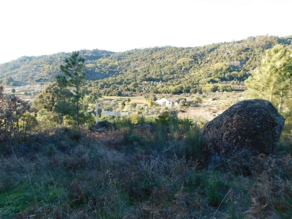 Terreno para Venda em Pero Viseu Foto 5