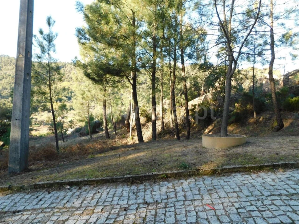 Terreno para Venda em Pero Viseu Foto 9