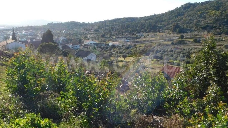 Terreno para Venda em Pero Viseu