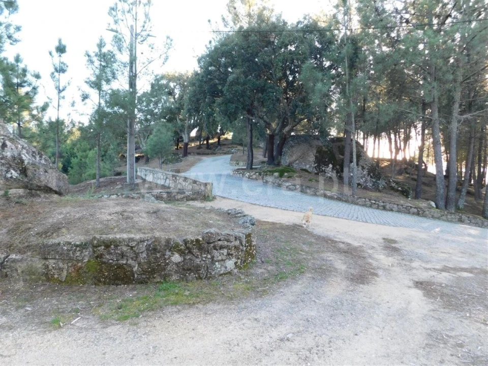 Terreno para Venda em Pero Viseu Foto 11