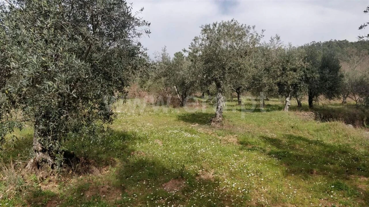 Terreno para Venda em Capinha Foto 6