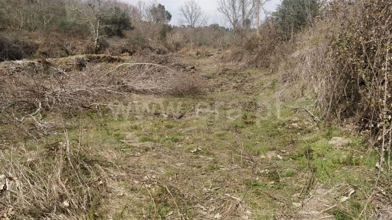 Terreno para Venda em Capinha Foto 13