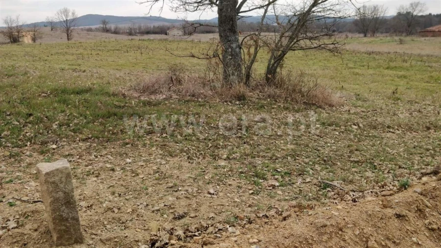 Terreno para Venda em Capinha Foto 2