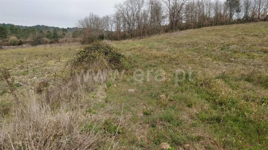 Terreno para Venda em Capinha Foto 3