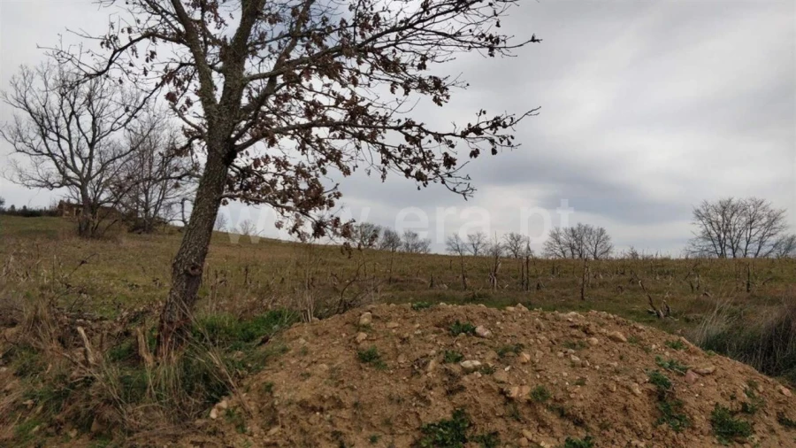 Terreno para Venda em Capinha Foto 4