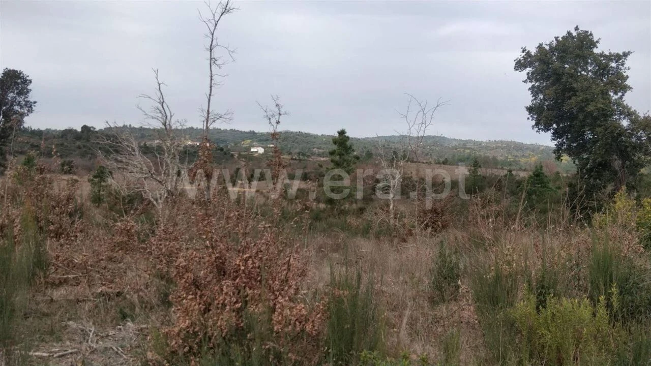 Terreno para Venda em Capinha Foto 11