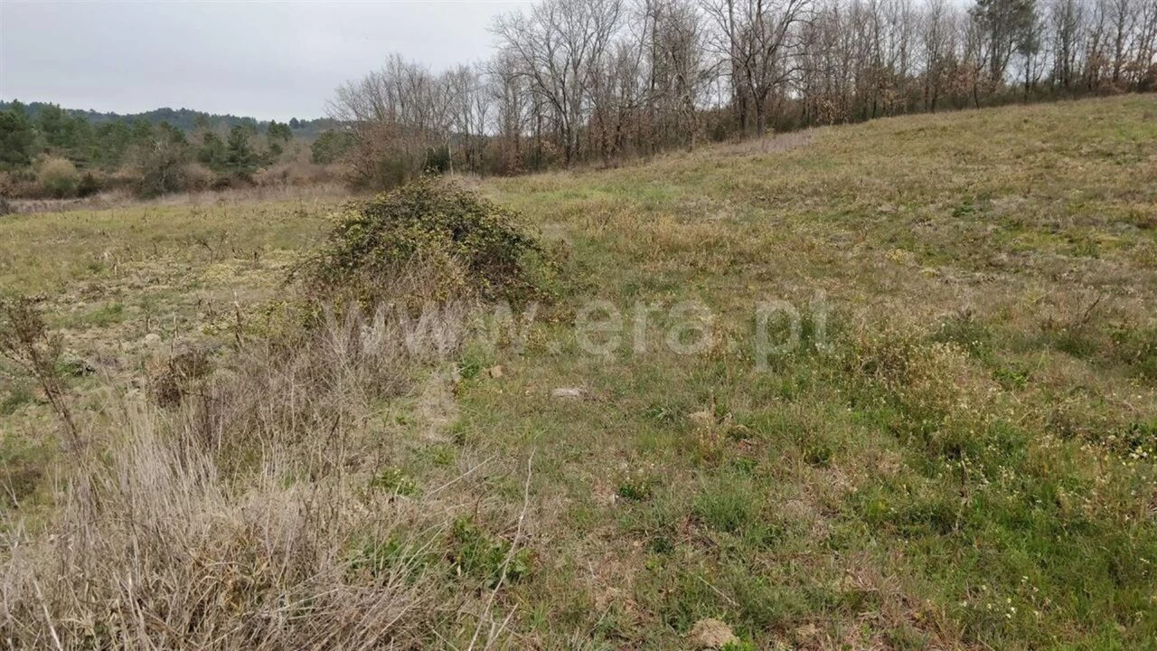 Terreno para Venda em Capinha Foto 3