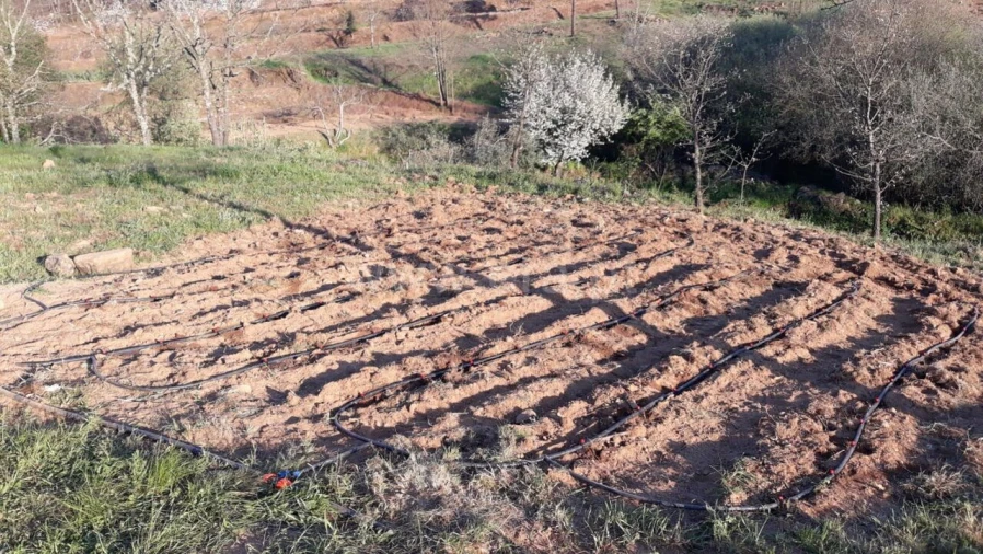 Quinta T0 para Venda em Pero Viseu Foto 2