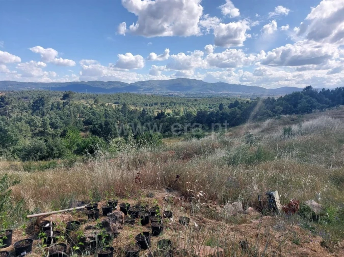 Quinta T0 para Venda em Pero Viseu Foto 11