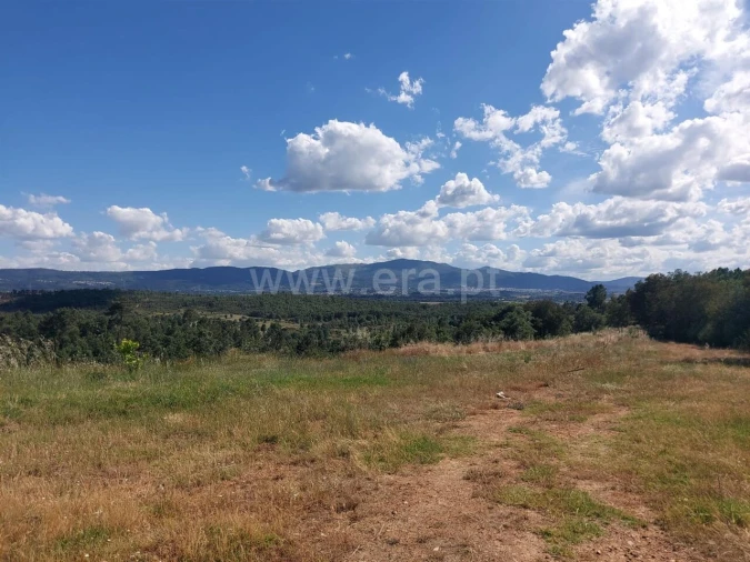 Quinta T0 para Venda em Pero Viseu Foto 6