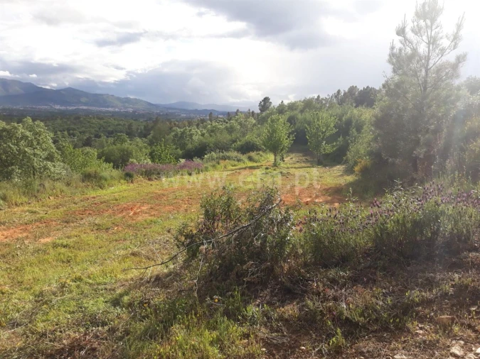 Quinta T0 para Venda em Pero Viseu Foto 8