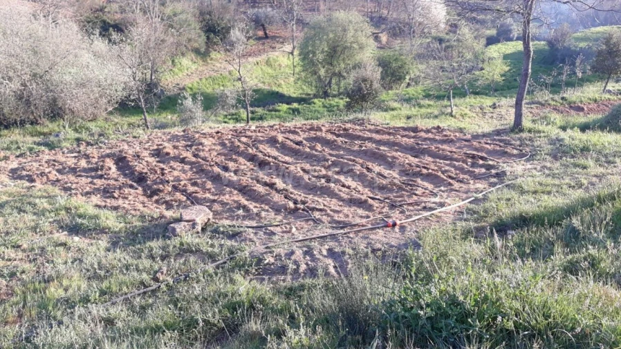 Quinta T0 para Venda em Pero Viseu Foto 3
