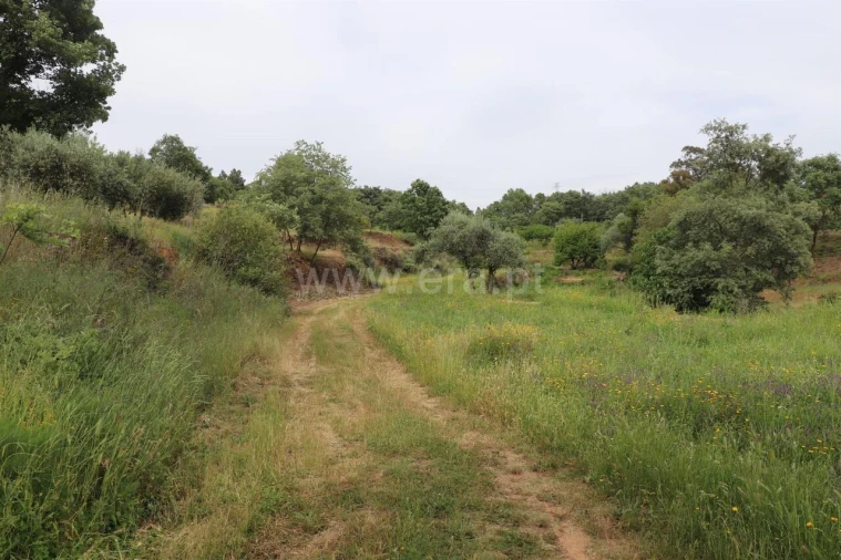 Quinta T0 para Venda em Pero Viseu Foto 7