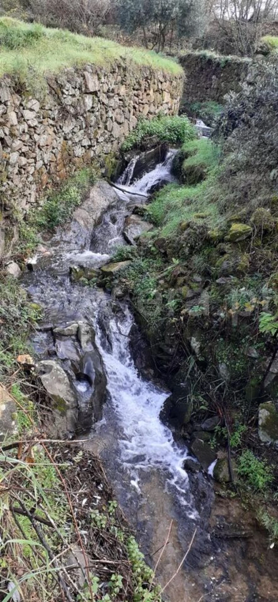 Quinta T0 para Venda em Pero Viseu Foto 12