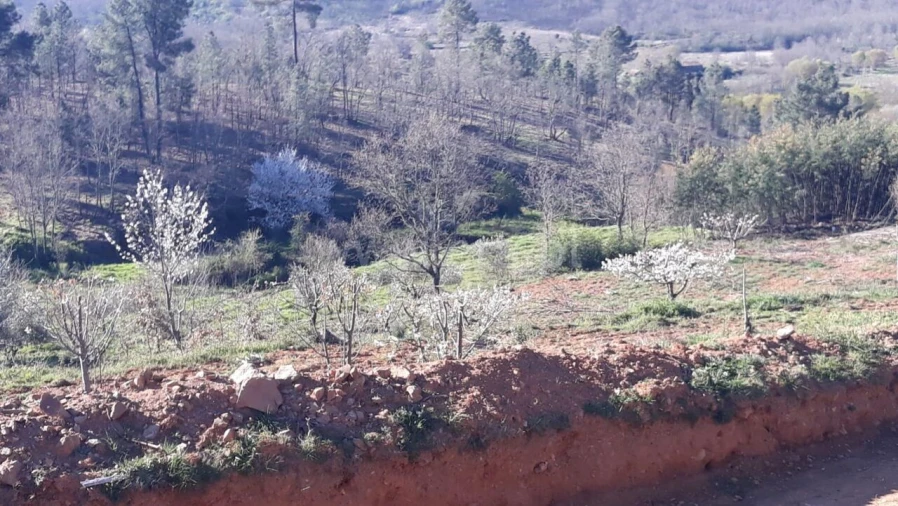 Quinta T0 para Venda em Pero Viseu Foto 5